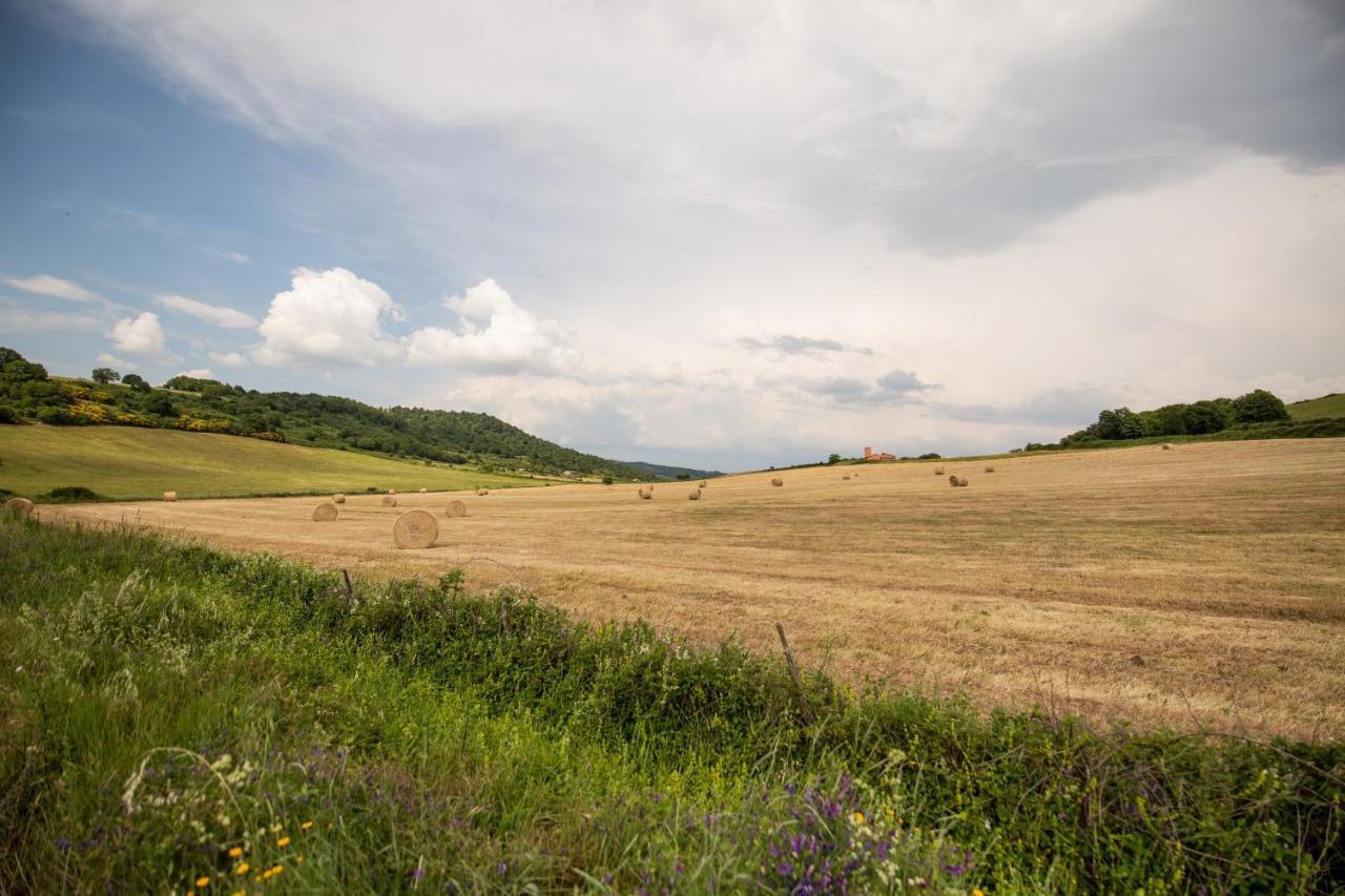 Agriturismo Lago Di Mezzano Valentano Extérieur photo